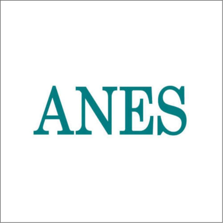 10-logo-anes@2x